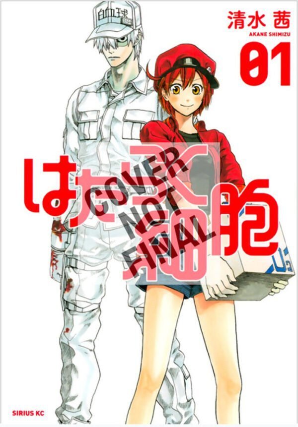 CELLS AT WORK! 1