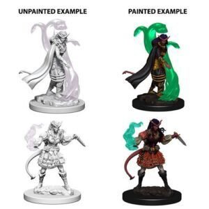Tiefling Female Sorcerer: D&D Nolzur's Marvelous Unpainted Miniatures (W4)