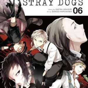 BUNGO STRAY DOGS GN VOL 06