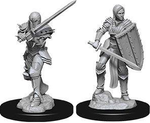 Female Human Fighter: D&D Nolzur's Marvelous Unpainted Miniatures (W9)