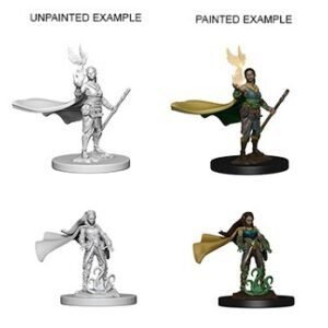 Elf Female Druid: D&D Nolzur's Marvelous Unpainted Miniatures (W4)