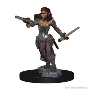 Elf Female Ranger: D&D Nolzur?s Marvelous Unpainted Miniatures (W1)