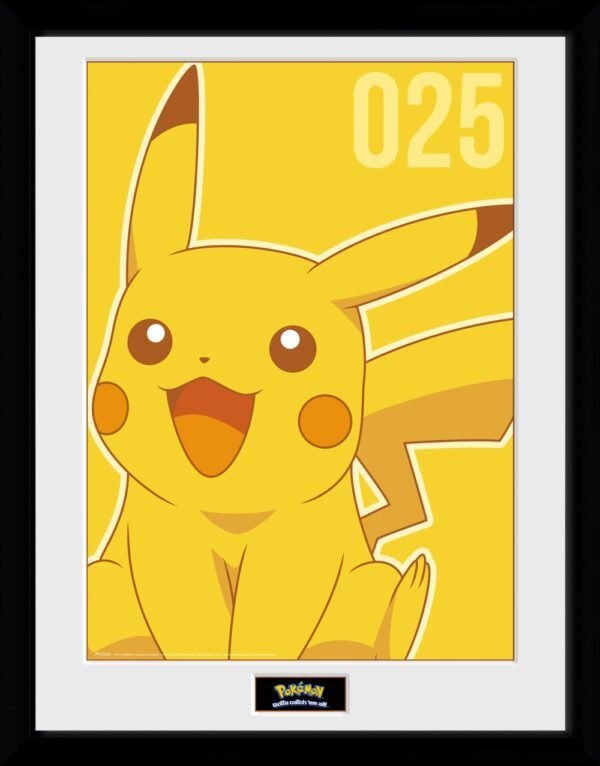 POKEMON Pikachu Mono