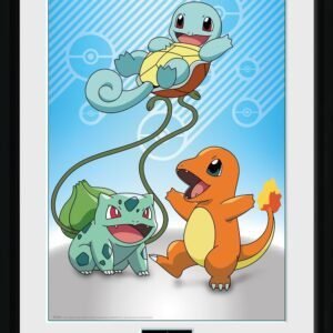 Pokemon Kanto Starter