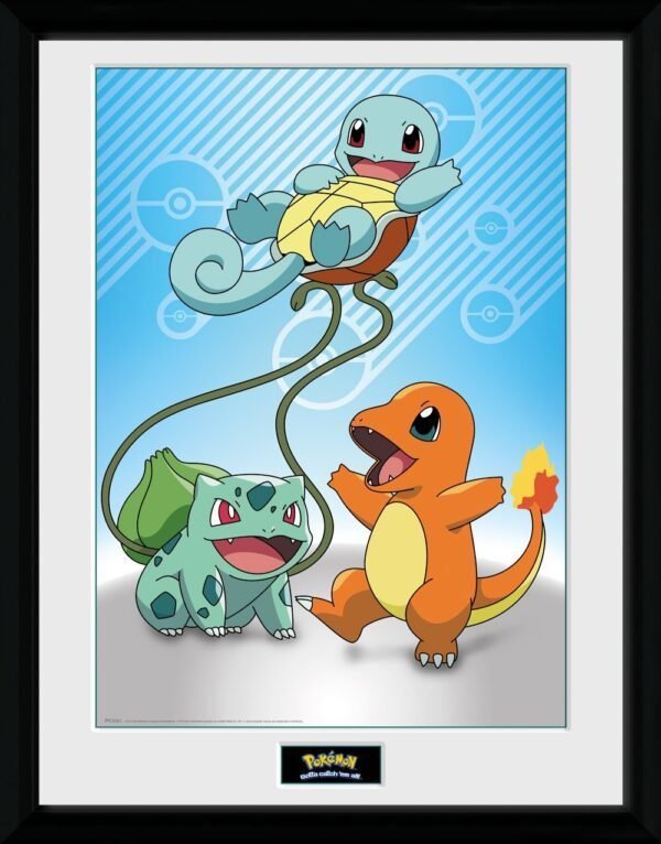 Pokemon Kanto Starter
