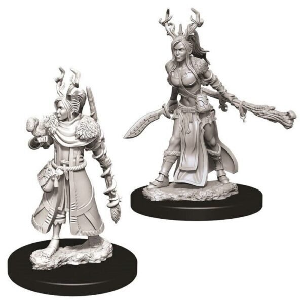 WizKids - D&D Nolzurs Marvelous Miniatures: Female Human Druid - Wave 9